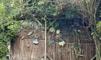 Imagem 3: CASA MOBILIADA 1 QUARTO PARA ALUGAR EM ILHA DE GUARATIBA