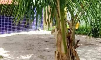 Imagem 2: Casa comercial em pau amarelo