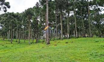 Imagem 7: Chácara em Campo Alegre/SC