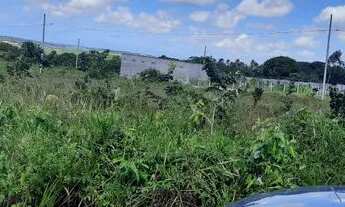 Imagem 2: Promoção de feriado sinal 1200 reais