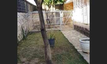 Imagem 4: Janga. Ótimo local. Casa em ótimo estado