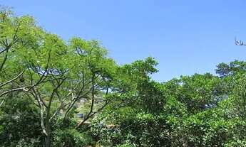 Imagem 7: APARTAMENTO DE 02 DORMITÓRIOS PRÓXIMO A UFSC