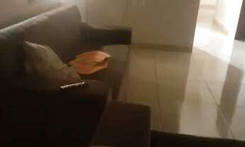 Imagem 2: Vendo casa na T30 taquari ou troco por casa do meu enteresse na 1007 sul