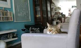 Imagem 7: Ótimo São Conrado/3 Quartos