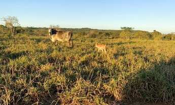 Imagem 2: Fazenda próximo a dois irmãos