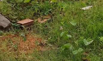 Imagem 7: Terreno em Monte gordo