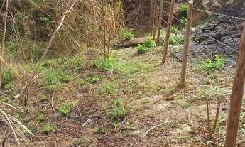 Imagem 3: Vendo terreno 10x16 no bairro São Jorge CG próx a rua moranga
