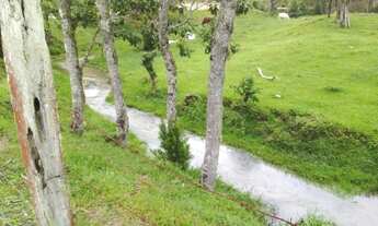 Imagem 7: Sítio espetacular,22 Hectares, plano, com rio, pasto, nascente! Grande Oportunidade!