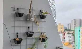 Imagem 6: Apartamento para Aluguel - Baeta Neves, 2 Quartos, 65 m2