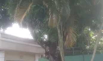 Imagem: Apartamento 2/4