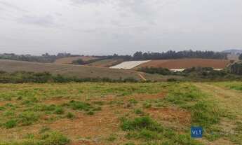 Imagem 7: Sítio com 4 dormitórios à venda, 411400 m² por R$ 8.600.000 - Curralinho - Pouso Alegre/MG