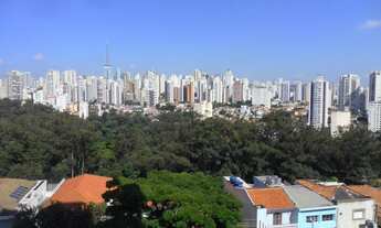 Imagem 6: Apartamento um por andar próximo a Parque da Aclimação, 225 Metros, Alto Padrão