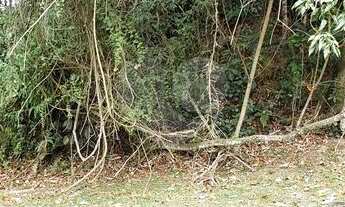 Imagem 2: Terreno Residencial Venda -1295 m², Segurança, Qualidade- Serra da Cantareira - São Paulo