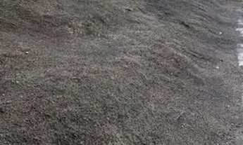 Imagem 3: Terreno 1000m2 - Próximo a praia da Bica