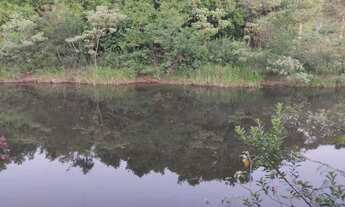 Imagem: Vendo chácara lote terreno sítio