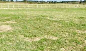 Imagem 1: BARBADA!!! Terrenão plano, luz na frente, 1200mts da RS040!!!