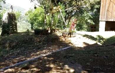 Imagem 3: Vendo Sítio em São Francisco de Paula