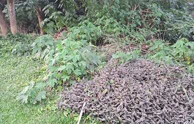 Imagem 4: TERRENO EM CONDOMINIO A VENDA