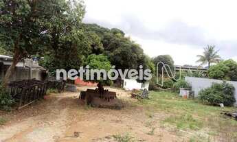 Imagem 7: Venda Lote-Área-Terreno Betânia Belo Horizonte