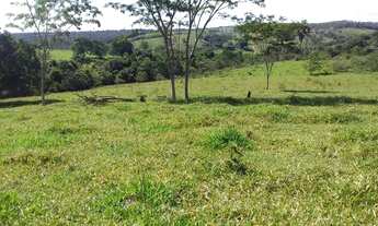 Imagem 3: Vende-se chácara formada com casa