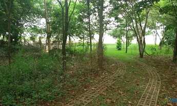 Imagem 3: Fazenda/Sítio/Chácara para venda tem 300 metros quadrados com 3 quartos