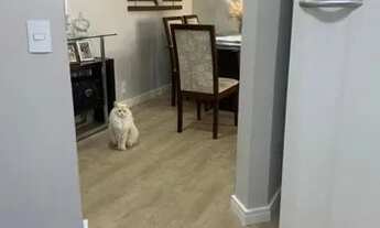 Imagem 2: Apto a venda Bairro Campestre -Sto Andre