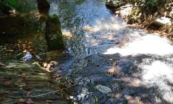 Imagem 2: Vendo excelente sitio Em jaguaripe palma