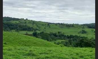 Imagem 4: Fazenda de 614.2286 hect em nova américa Goiás R$:21 milhões