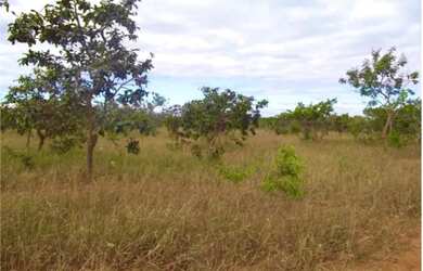 Imagem 4: Lote 1.000 m², plano em condomínio fechado, Jaboticatubas