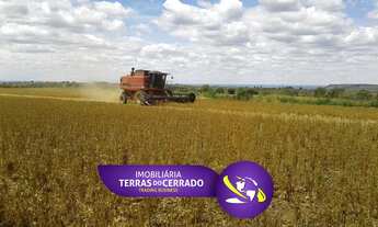 Imagem: FAZENDA PRODUTIVA COM 472HECTARES, HA 55KM