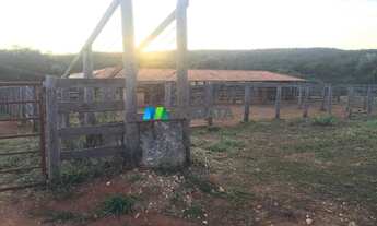 Imagem 5: FAZENDA À VENDA - 454 HECTARES - REGIÃO DE BOCAIUVA (MG