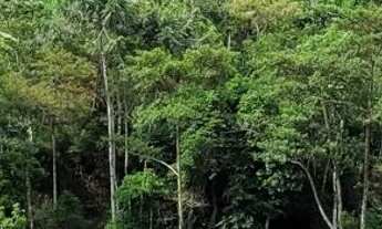 Imagem 5: Sitio Cachoeira Veu de Noiva 36.000m2