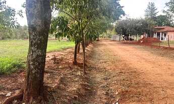 Imagem 2: VENDO CHÁCARA - ESTÂNCIA SÃO MANOEL