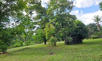 Imagem 2: CHÁCARA 23 mil m2 ESCRITURADA DF