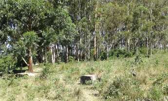 Imagem 7: FAZENDA A VENDA REGIAO DE DIAMANTINA ( 4118