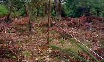 Imagem 6: Vende-se esse terreno no Iranduba AM