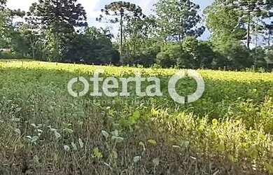 Imagem 2: OFERTA 1479 - CHÁCARA EM ARAUCÁRIA