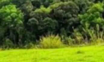 Imagem 6: Lotes na cidade de São Roque - SP