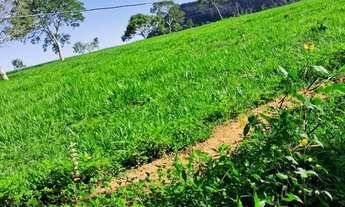 Imagem 4: Oportunidade! Vende-se uma excelente fazenda de 68.8 hectares