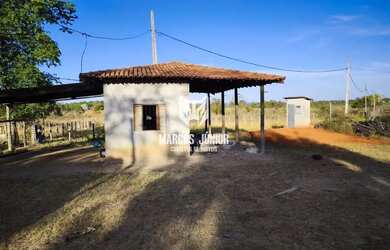 Imagem 6: FAZENDINHA DE OPORTUNIDADE DE 120 HA PLANA PARA PLANTIO OU PECUARIA NA REGIÃO DE PIRAPORA