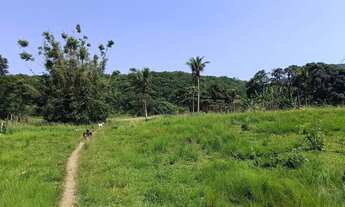 Imagem 6: Área de 75 mil m2 á venda na Ilha de Guaratiba - Rio de Janeiro - RJ