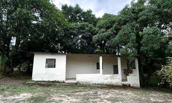 Imagem 6: Chácara a venda 5.800 m2 / Árvores frutiferas e agua