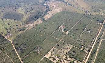 Imagem 4: Chácara em Mirabela