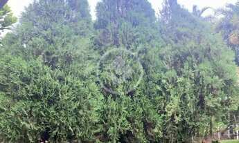 Imagem 6: Aparecida de Goiânia - Casa no Setor Oliveira codigo: 162177