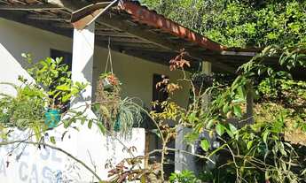Imagem 3: Vendo pequeno sítio em Nazaré das farinha