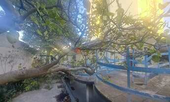 Imagem 4: Terreno com 18 mts de frente à venda, Vila Formosa