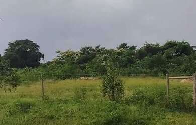 Imagem 4: Fazenda em Pontalina