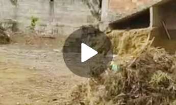 Imagem 4: Casa 149.900,00 ALZIRA RAMOS