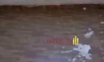 Imagem 2: Casa com 2 dormitórios para alugar, 30 m² por R$ 800,00/mês - Vila Ayrosa - São Paulo/SP