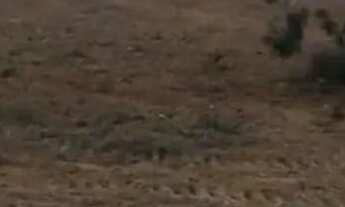 Imagem 2: Chácara DF Planaltina Bonsucesso